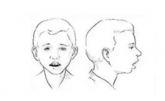 ͹�����͵����Ը���ʲô���� 