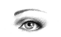 һ˫�۾����Կ���һ���˵��Ը� �����������кβ�ͬ 