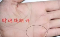 ���ϲ����� ����ֲ��� ����ʲô���� 