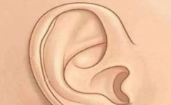 ���˲�˳���˶������ʲô���� ���⼸��һ�����ڵ�ù 