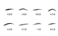 ��üë��һ���˵�������� üë��������Ũ�̶ܳȺ���Ҫ 