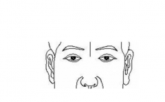 ��ͷ���� ��Ҫ���⼸����ͷ���� ������û�� 