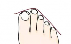 �������������� ��֪����Ľ��ƻ����������������ܰ�