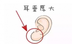 ӵ��ʲô����������׷��� ���������˲��뷢�ƶ��� 