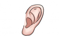 �˼ҵ�Ů��˭����Ȣ ���������ľ͸Ͻ����ְ�