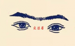 �������Щ��ò��֪�����Ʒ�� ����Щüë���������ܲ�