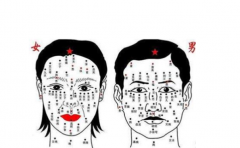 ��˵���ϳ������������� ���������