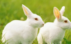 ��Щ����Ե����ФŮ ÿһ�������ᵣ��û��׷����