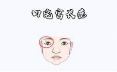 �������ȫ�� ��Щ����Ǹ�������� �㶼���� 