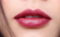 ���ܻ���� ��ʵ���������֪������