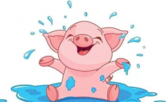 ���ֺ��˵���Ф �����������ܷ��׻��� 