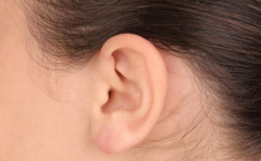 �����⼸�ֶ������ һ�����ڵ�ù �������һ��