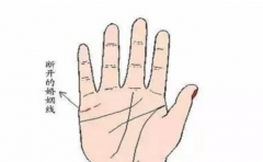 �������������� ԭ�����ƻ����������������� 