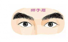 �������࿴üë���ܹ�֪�� ���������� ���벻��һ����֪ 