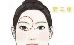 ����Щ����üë���� ���Ǹ��������Ǯ�� ��Ľ���� 