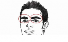 üë�ֵ����˺�Ů�� �Ը�������ϵĲ�֮ͬ�� 