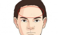 �⼸�ֳ����Ķ�ͷ��������ʲô�ش��ѧ���� 