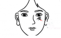 ���Բϵ��� �������ҵ�����Ʊ仯 