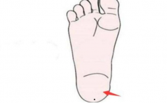 <b>���㿴�������� ԭ������������Ӱ�����ǵ��������� </b>