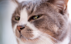 <b>��������̫�������� ������Щ�ص� ������ </b>