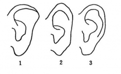 <b>�����⼸�ֶ�����״���� һ�����ڵ�ù ע�����һ�� </b>