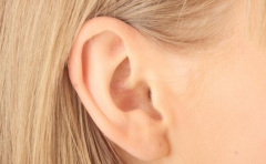 ��Ķ����������ֶ������� �������ʲô������ �Ͻ����� 