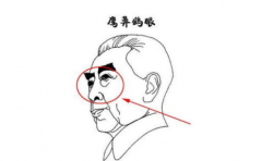 �������������������ֻ��˽�� ע������������� �¶����� 