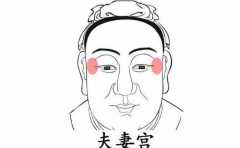 �����и����˶��ƽ�׽��� ����������Щ����� �㶼֪���� 