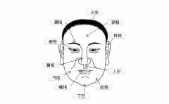 �Զ�������������· ���⼸������ ��ҵ�������� ���ѳɹ� 