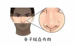 ����Ҫ���⼸�ֱ��� ͷ�Դ��� ׬Ǯ����ǿ �޸��� ���ܾ����ٻ����� 