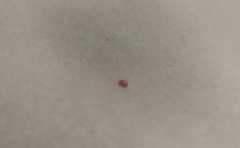 ���ϳ������Ǽ������� �᲻��Σ������ ����ԭ������˵�Ӱ�� 
