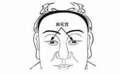 ���ϵ���լ�� ���Է�ӳһ���˵�Ʒ�� 