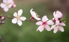 ����ʱ�����һ����� ��3��������Ů���һ����� 