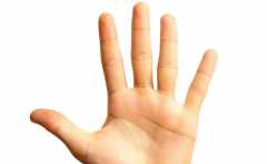 ������Ϳ���֪��������Ǻ��ǻ� ���϶�������������� 