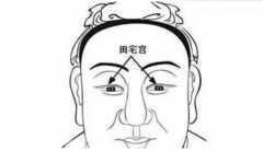 ������լ�������� ������������Щ�й� 