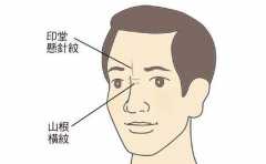 �����ǵ����������������⼸������ ������������Ƿ����������� 