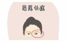 ����Ů���볤��ʲô�ط� ��Щ�ط����׳��� �Ͻ����� 