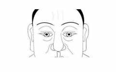 ��ҵ��˳ ����ʧ�ܵ��� �����ܻ�����Щӡ�� һ�������в� 