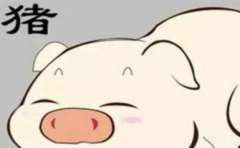 1995������������������ ��������������� 