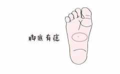 ��֪��ע�����Ľ� �������� ������֪ 