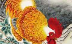 ����69������� �⼸�����㲻�ɺ��� 