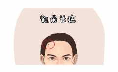 <b>�����벻�� ������Щ��Ҳ���� ��ʾ����һ������� </b>