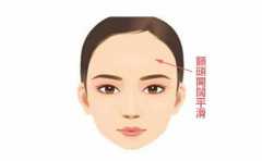 ���ϲ�����Ҫ������ �����Ǻ��ǻ� һ�����͸������ 