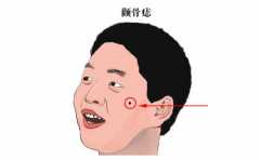 �������ϵĵ���������Щ �Ǽ��뻹������ 
