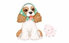 1994����2022��������� ������������ ֵ���ڴ� 