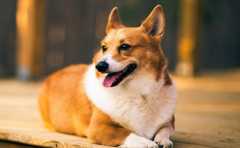 �������̶�����Ф���⼸�� ׷����������Ͻ����� 