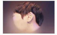 ����С�������˵�������� ��˵�е��޹��Ͼ����� 