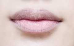 ��׼С������ ��ǰ�˺�ͬ�� С�ı���ͱ��һ�� 