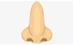 ���࿴���� �����ֱ��� �벻���ƶ��� �͵�Ǯ���� 