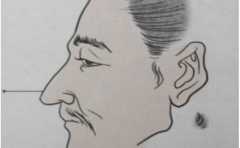 ӥ���ǵ������Ʒ���  ��Ů��һЩ��ͬ 